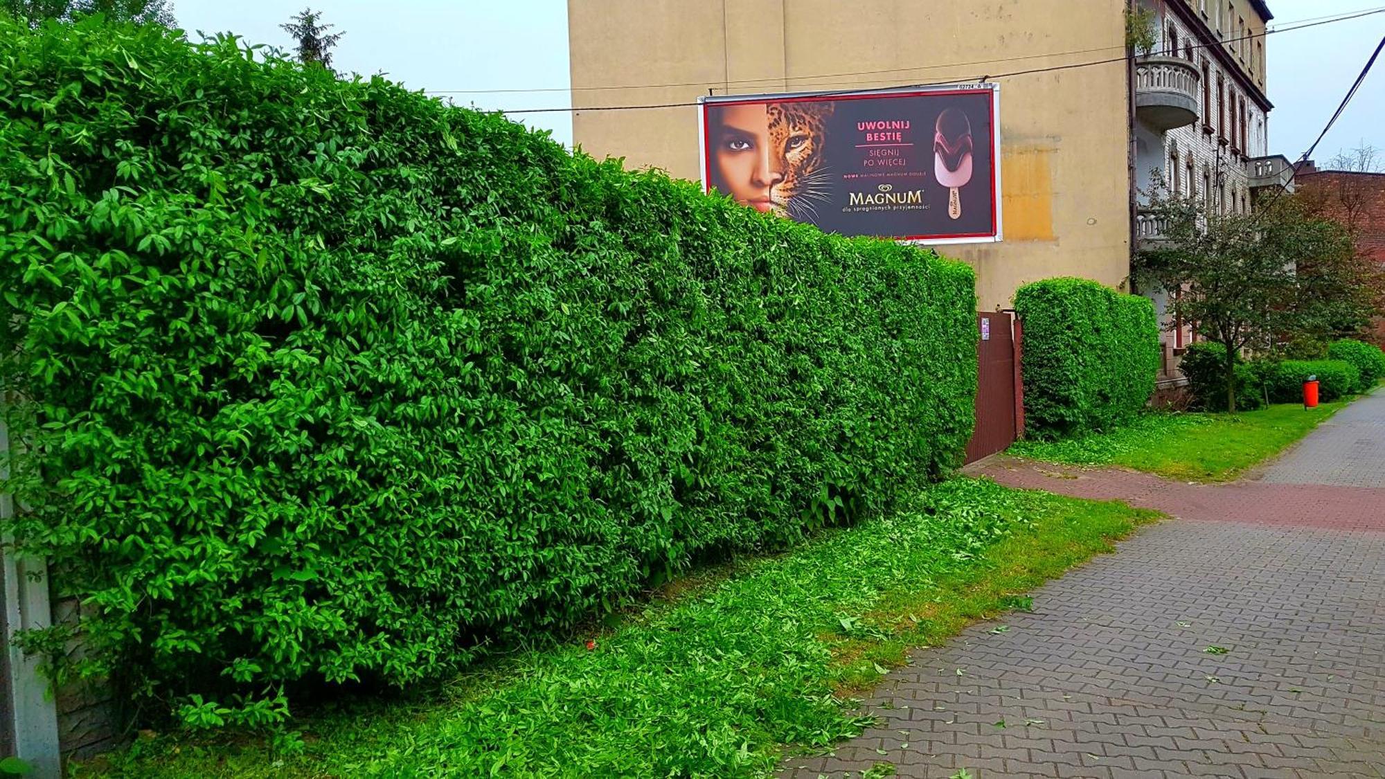 Apartament Park Slaski Katowice Bagian luar foto